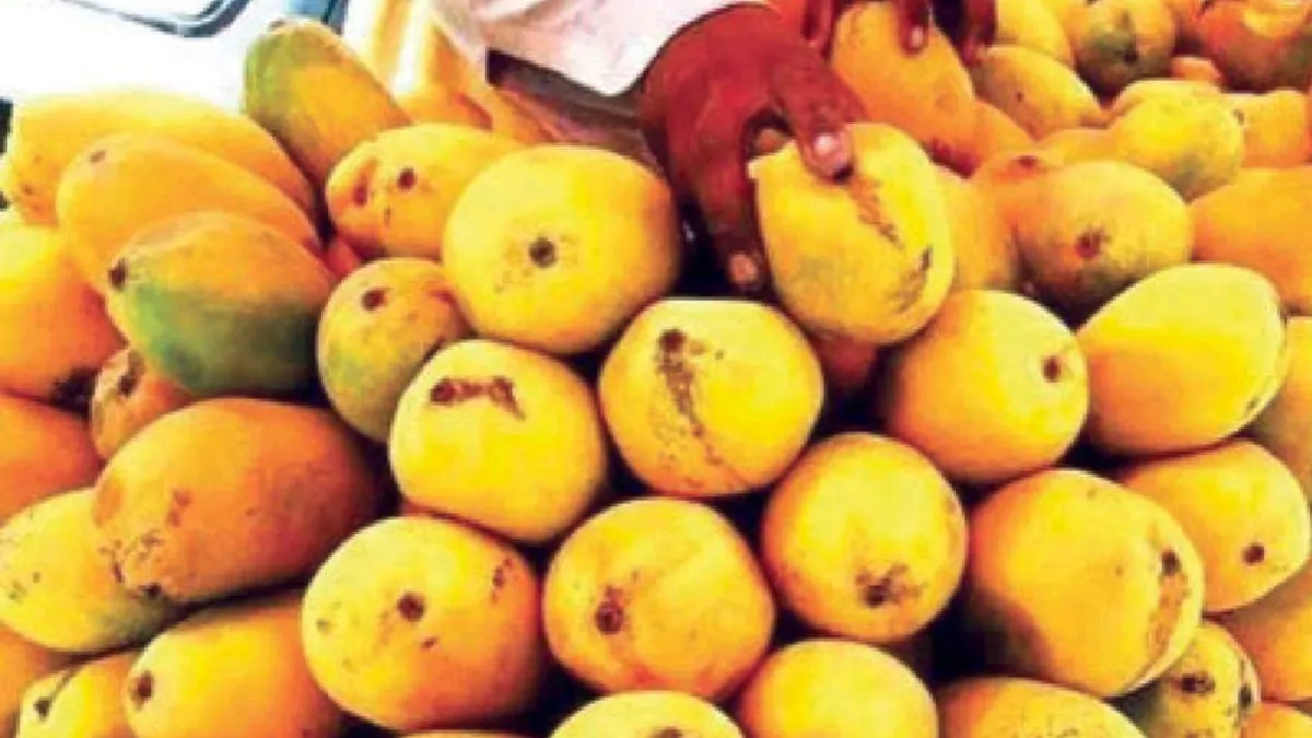 Mango Festival in New Delhi on 9tth and 10th of July