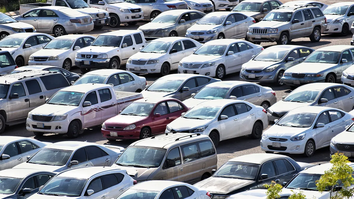 Delhi transport department will soon conduct a door-to-door survey to identify overaged vehicles 