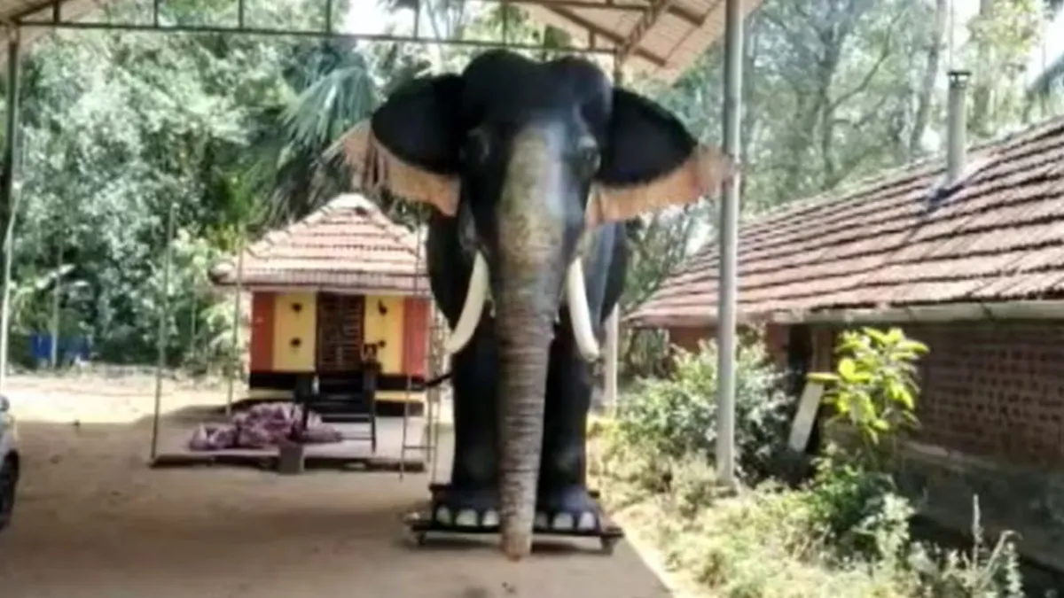 Temple in Kerala's Thrissur district used a mechanical, life-like elephant for performing rituals