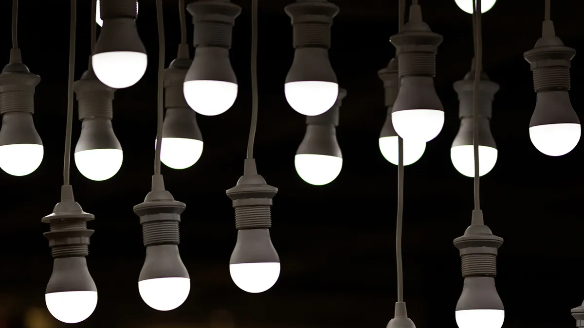 Kerala State Electricity Board to distribute LED lights under two energy efficiency programmes