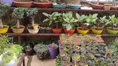 Tulasi Nursery