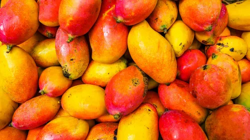 Mango Festival at Dilli Haat, New Delhi on June 28