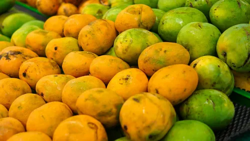 Monsoon Mango Festival of Tripura on July 7