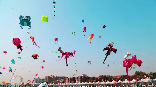 International Kite Festival on January 8 to 14 2024.