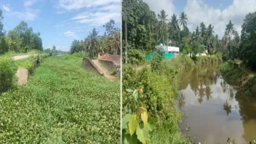 Operation Jaladhara has given a new lease of life to several streams in the Thiruvananthapuram