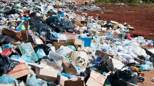 Kerala to utilise services of NSS units in their region to restore garbage dumping sites and vulnerable points 