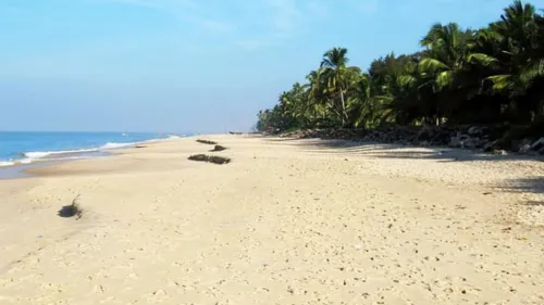 Punnapra beach and an adjacent casuarina grove in Alappuzha to be developed into an ecotourism destination