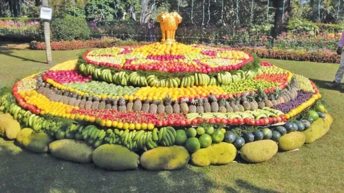 64th annual fruit show - the final event of the annual summer festival in the Nilgiris was inaugurated on May 24