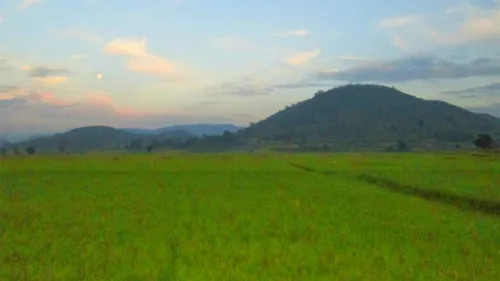 The first agro-tourism facility in Andhra Pradesh has been readied at Chintapalli, amid the rich diversity of flora and fauna of Eastern Ghat