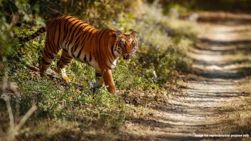 Pench Tiger Reserve in Maharashtra becomes India’s inaugural Dark Sky Park and the fifth in Asia